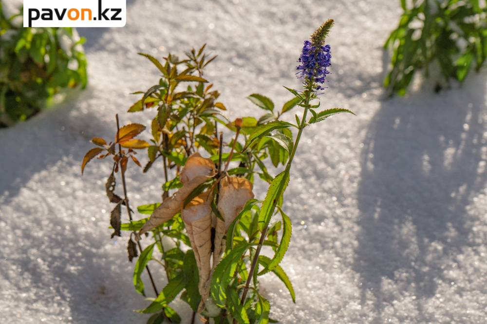 92ee46e2089258f5a2d40d8f74b0b40a41311278