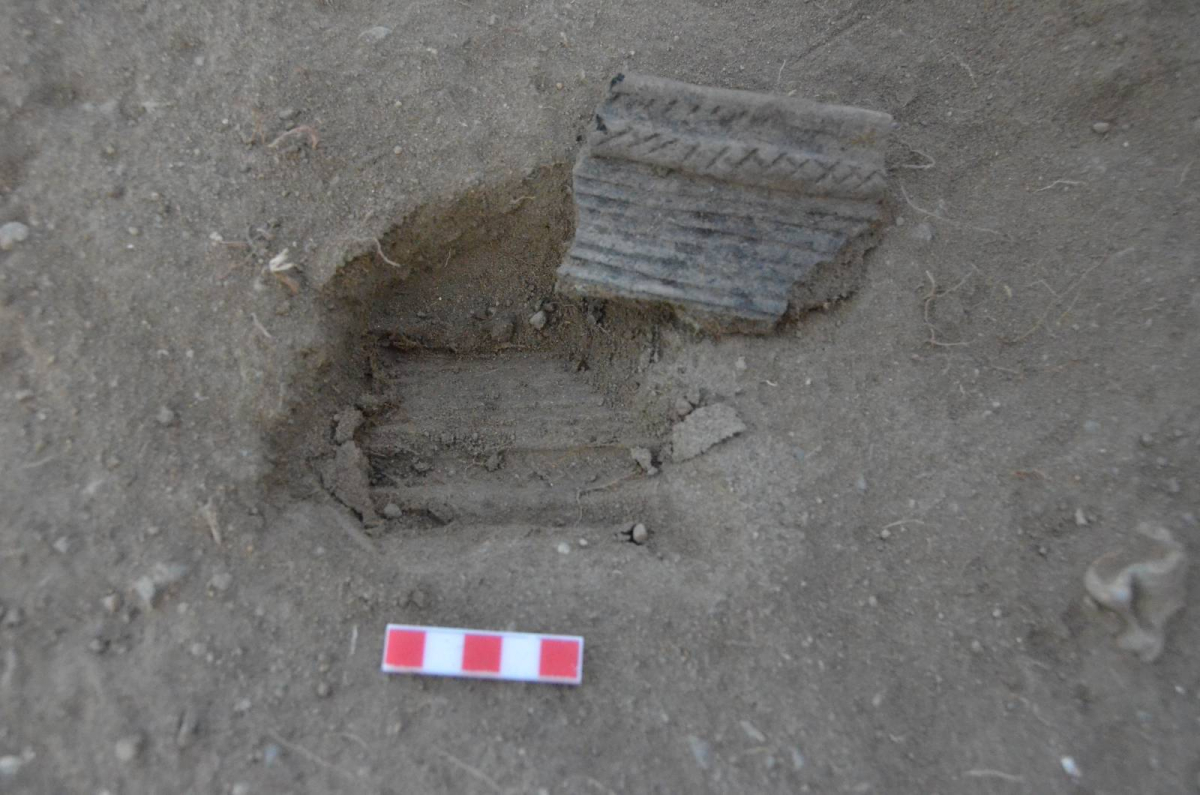 e3b3ce8f06a323255502ca2af08e44c656eb8c4c